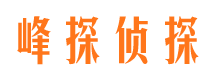 薛城出轨调查